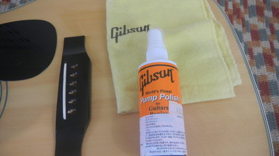 6 gibson polish