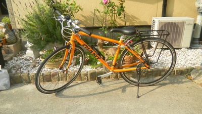 3 bike in front of deer